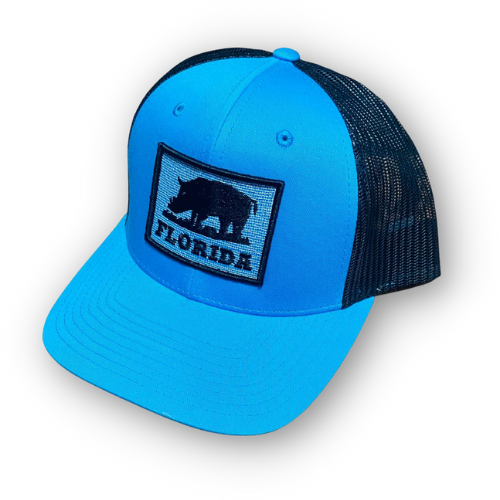 Rugged Series Cyan/Black Boar