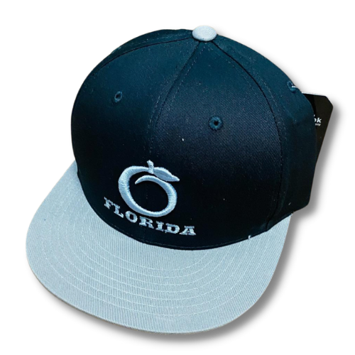 Florida Heritage Flat bill Silver/Black (snapback)
