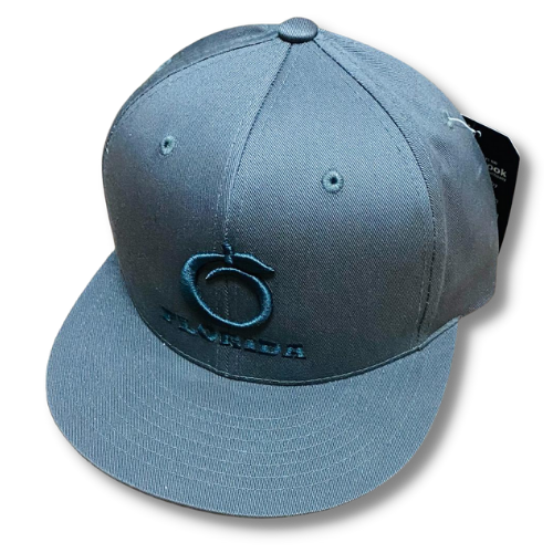 Florida Heritage Flat bill Grey (snapback)