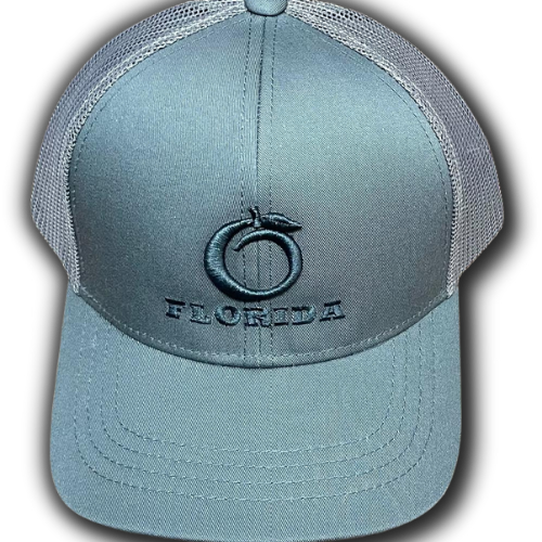 Florida Heritage Grey-Pewter logo Youth snapback