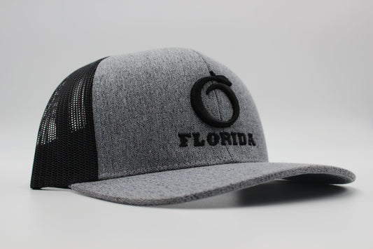 Florida Snapback Heather Grey/Black Black logo