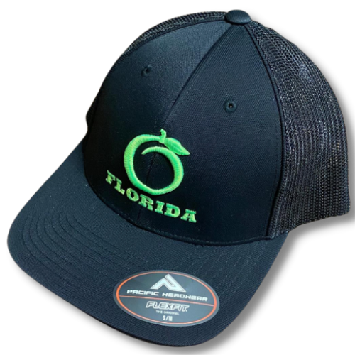 FH Flex Fit Black/Black Limedrop logo