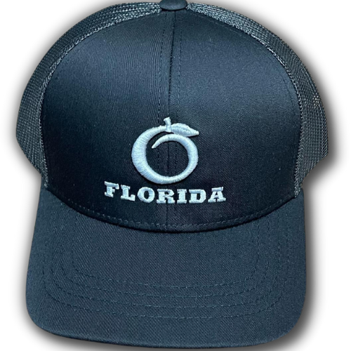 Florida Heritage Black-Silver logo Youth snapback
