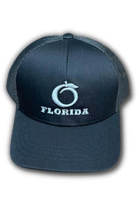 Florida Heritage Black-Silver logo Youth snapback