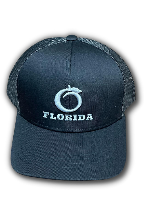 Florida Heritage Black-Silver logo Youth snapback
