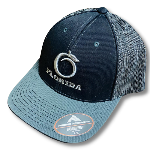 FH Flex Fit Black/Silver Silver logo