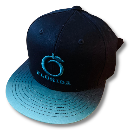 Florida Heritage Flat bill Rainforest Ombre (snapback)