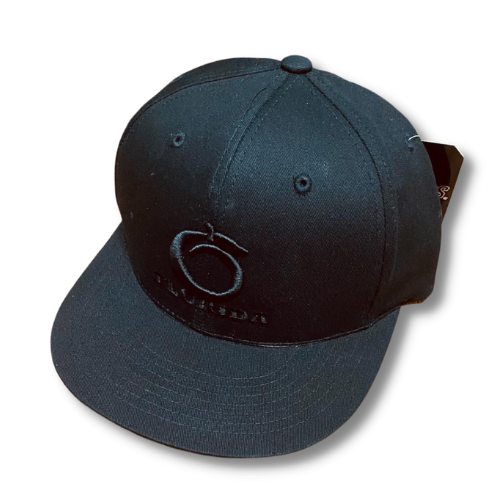 Florida Heritage Flat bill Blackout (snapback)