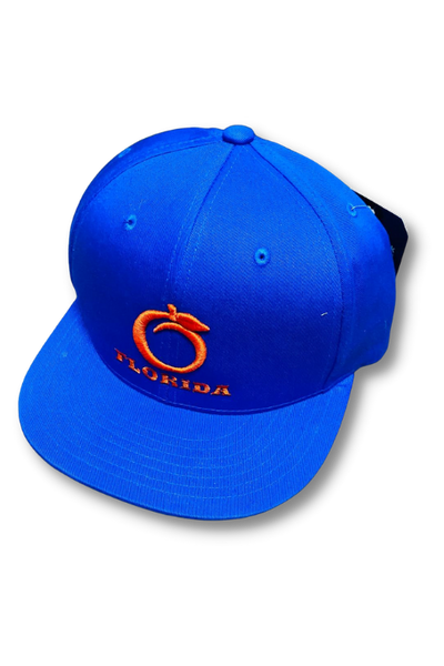 Florida Gators Blue/White Logo Hat