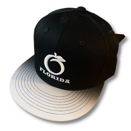Florida Heritage Flat bill White Ombre (snapback)